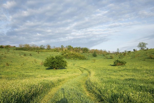 Où peut-on trouver une location de vacances en Laponie avec des excursions en traîneau à chiens et des ateliers de tissage sami?