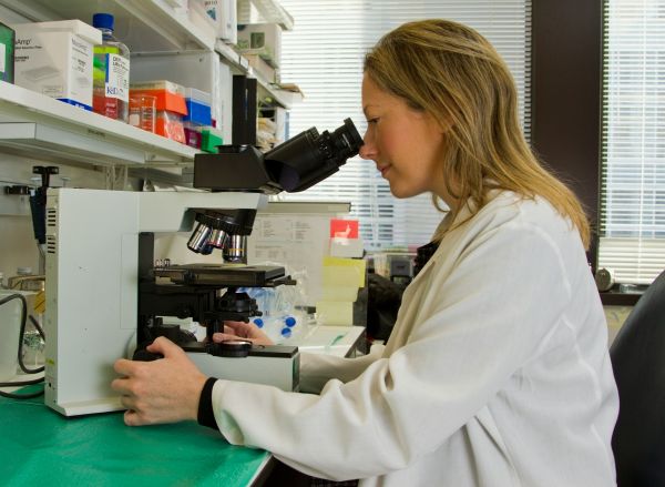 Optimiser l'évolution législative en matière de recherche médicale